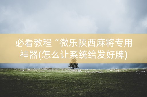 必看教程“微乐陕西麻将专用神器(怎么让系统给发好牌)