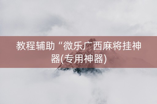 教程辅助“微乐广西麻将挂神器(专用神器)