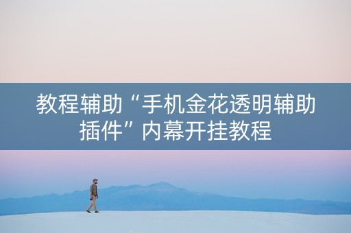 教程辅助“手机金花透明辅助插件”内幕开挂教程