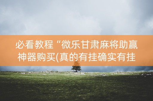 必看教程“微乐甘肃麻将助赢神器购买(真的有挂确实有挂)