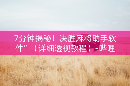 7分钟揭秘！决胜麻将助手软件”（详细透视教程）-哔哩哔哩