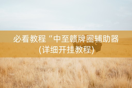必看教程“中至赣牌圈辅助器(详细开挂教程)