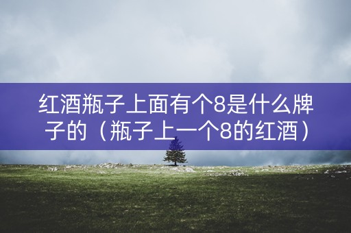 红酒瓶子上面有个8是什么牌子的（瓶子上一个8的红酒）