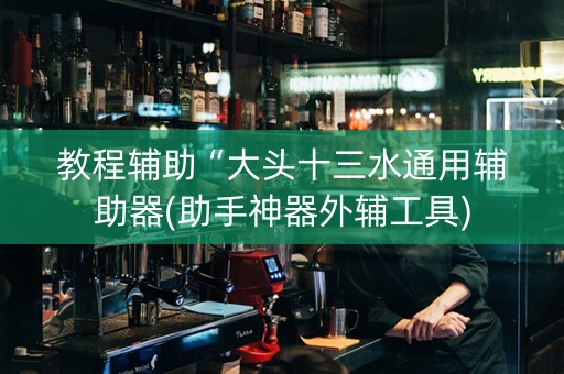 教程辅助“大头十三水通用辅助器(助手神器外辅工具)