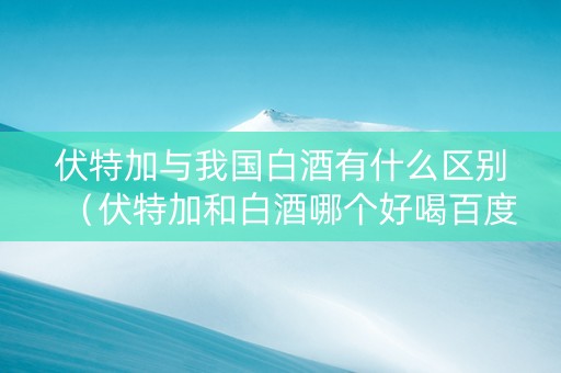 伏特加与我国白酒有什么区别（伏特加和白酒哪个好喝百度知道）