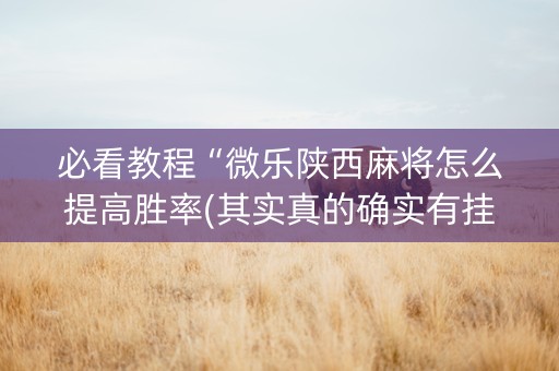 必看教程“微乐陕西麻将怎么提高胜率(其实真的确实有挂)