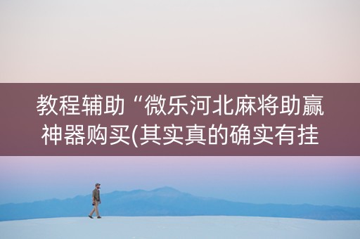 教程辅助“微乐河北麻将助赢神器购买(其实真的确实有挂)