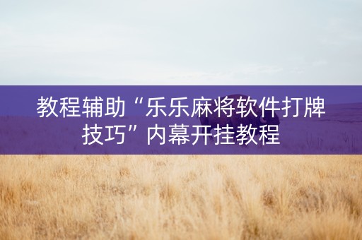教程辅助“乐乐麻将软件打牌技巧”内幕开挂教程