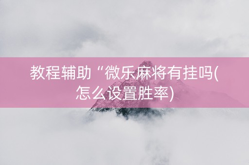教程辅助“微乐麻将有挂吗(怎么设置胜率)