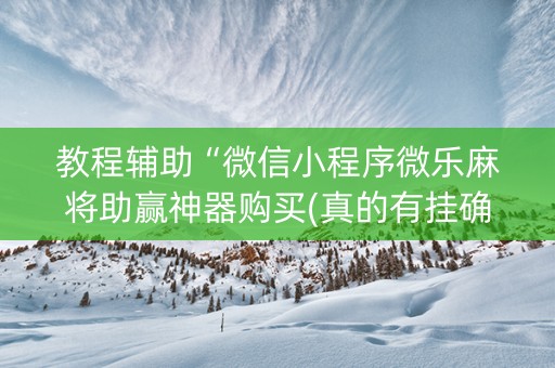 教程辅助“微信小程序微乐麻将助赢神器购买(真的有挂确实有挂)