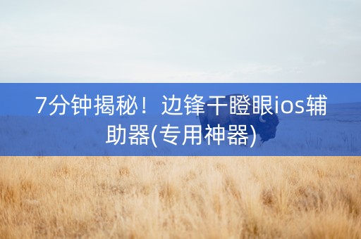 7分钟揭秘！边锋干瞪眼ios辅助器(专用神器)