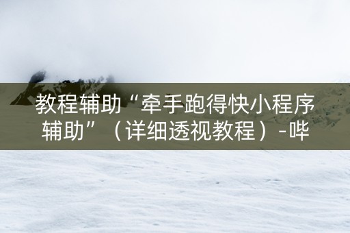 教程辅助“牵手跑得快小程序辅助”（详细透视教程）-哔哩哔哩