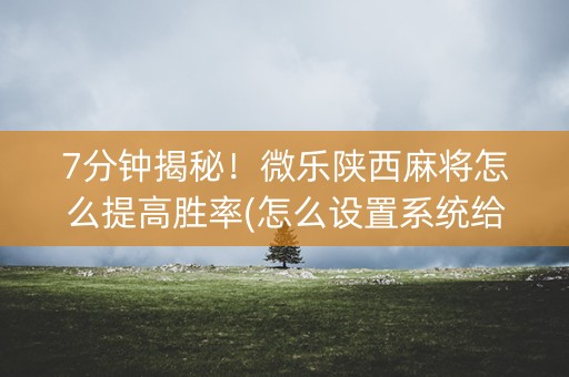 7分钟揭秘！微乐陕西麻将怎么提高胜率(怎么设置系统给你好牌)