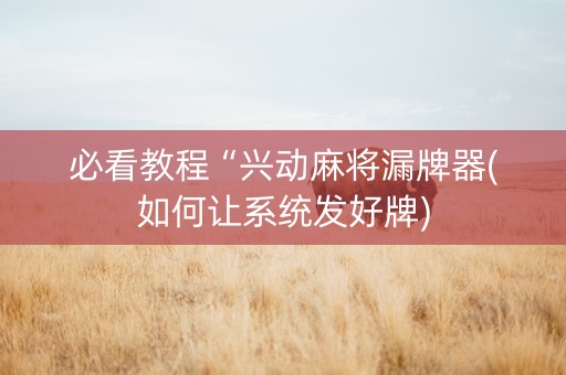 必看教程“兴动麻将漏牌器(如何让系统发好牌)