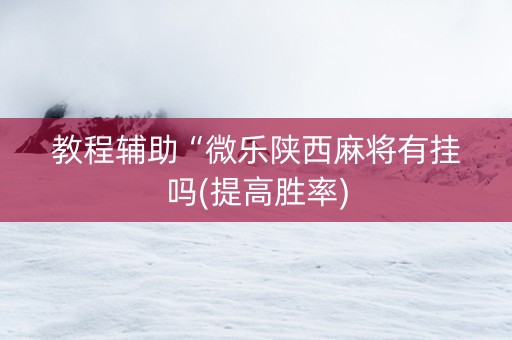 教程辅助“微乐陕西麻将有挂吗(提高胜率)