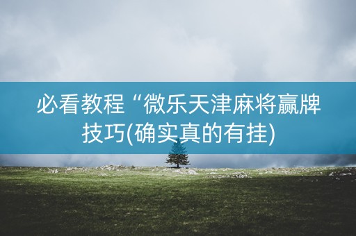 必看教程“微乐天津麻将赢牌技巧(确实真的有挂)