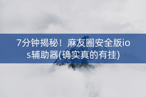 7分钟揭秘！麻友圈安全版ios辅助器(确实真的有挂)