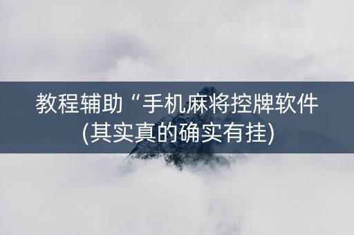 教程辅助“手机麻将控牌软件(其实真的确实有挂)