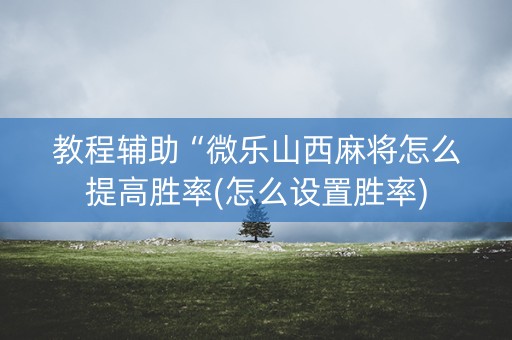 教程辅助“微乐山西麻将怎么提高胜率(怎么设置胜率)