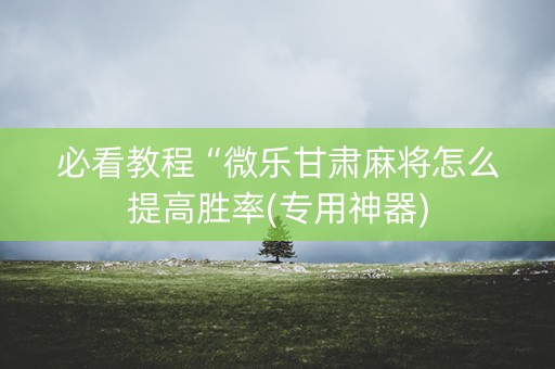 必看教程“微乐甘肃麻将怎么提高胜率(专用神器)