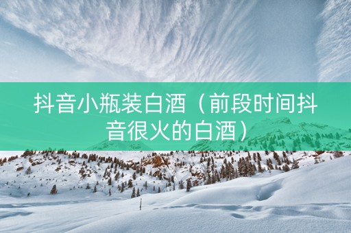 抖音小瓶装白酒（前段时间抖音很火的白酒）