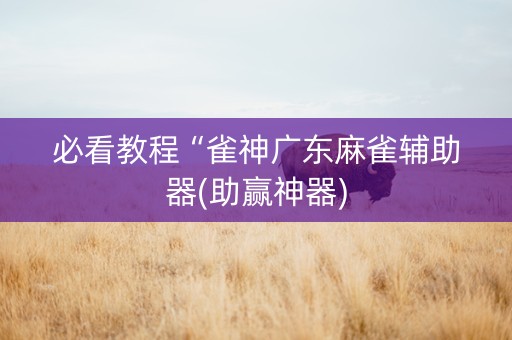 必看教程“雀神广东麻雀辅助器(助赢神器)