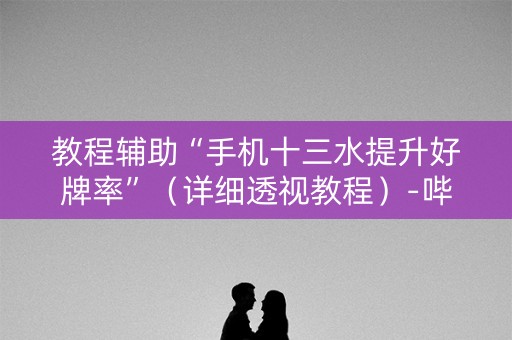 教程辅助“手机十三水提升好牌率”（详细透视教程）-哔哩哔哩