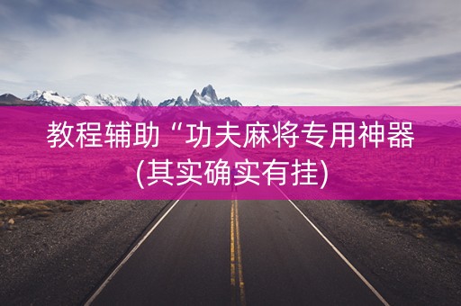 教程辅助“功夫麻将专用神器(其实确实有挂)