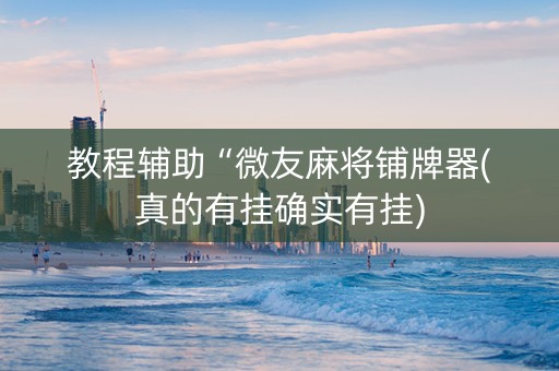 教程辅助“微友麻将铺牌器(真的有挂确实有挂)