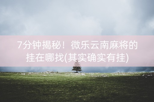 7分钟揭秘！微乐云南麻将的挂在哪找(其实确实有挂)