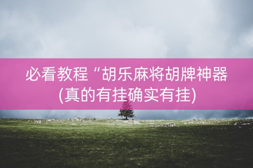 必看教程“胡乐麻将胡牌神器(真的有挂确实有挂)