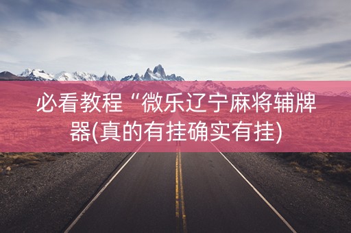 必看教程“微乐辽宁麻将辅牌器(真的有挂确实有挂)