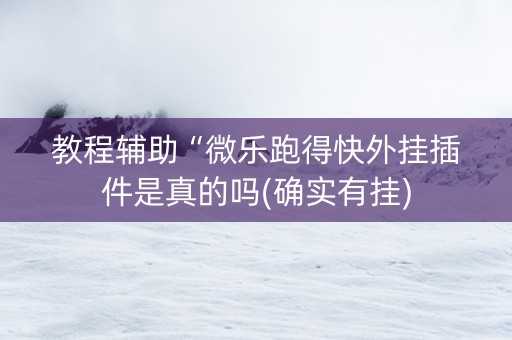 教程辅助“微乐跑得快外挂插件是真的吗(确实有挂)