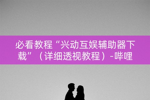 必看教程“兴动互娱辅助器下载”（详细透视教程）-哔哩哔哩