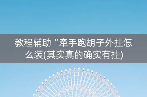 教程辅助“牵手跑胡子外挂怎么装(其实真的确实有挂)