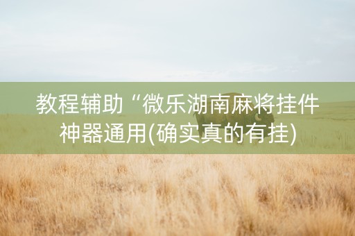教程辅助“微乐湖南麻将挂件神器通用(确实真的有挂)