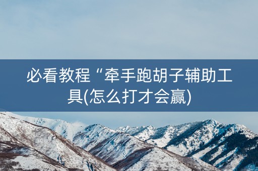 必看教程“牵手跑胡子辅助工具(怎么打才会赢)