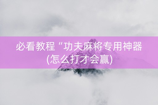 必看教程“功夫麻将专用神器(怎么打才会赢)