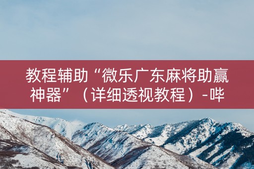教程辅助“微乐广东麻将助赢神器”（详细透视教程）-哔哩哔哩