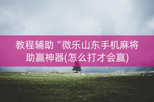 教程辅助“微乐山东手机麻将助赢神器(怎么打才会赢)