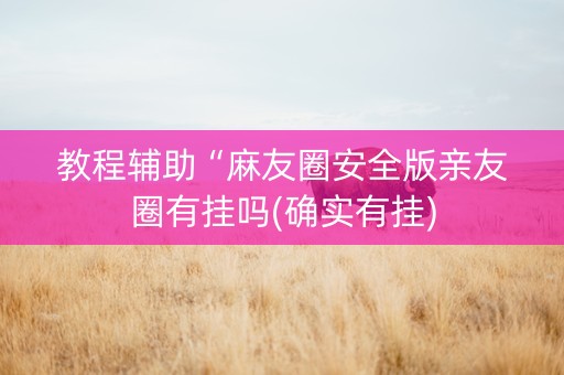 教程辅助“麻友圈安全版亲友圈有挂吗(确实有挂)