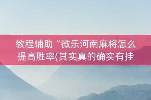 教程辅助“微乐河南麻将怎么提高胜率(其实真的确实有挂)