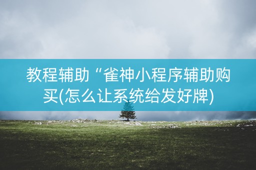 教程辅助“雀神小程序辅助购买(怎么让系统给发好牌)