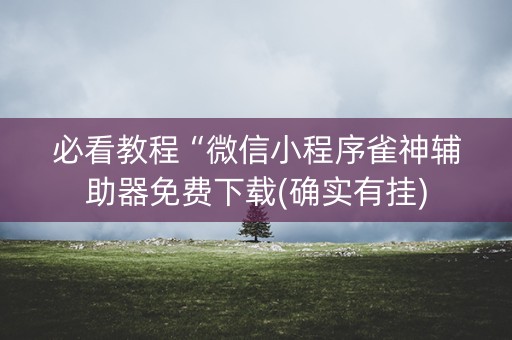 必看教程“微信小程序雀神辅助器免费下载(确实有挂)