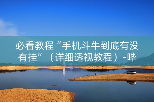 必看教程“手机斗牛到底有没有挂”（详细透视教程）-哔哩哔哩