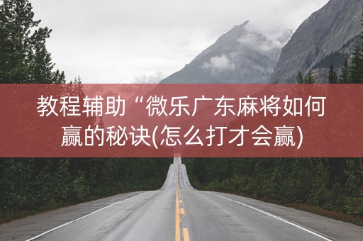 教程辅助“微乐广东麻将如何赢的秘诀(怎么打才会赢)