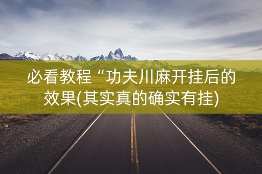 必看教程“功夫川麻开挂后的效果(其实真的确实有挂)