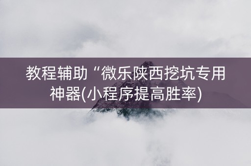教程辅助“微乐陕西挖坑专用神器(小程序提高胜率)