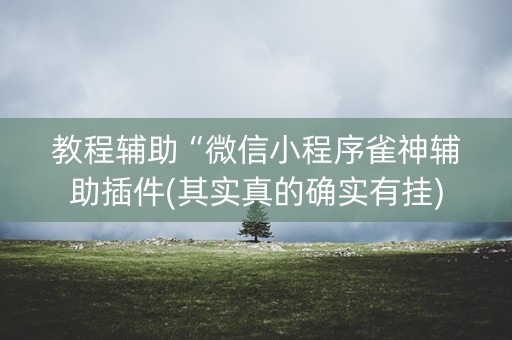 教程辅助“微信小程序雀神辅助插件(其实真的确实有挂)