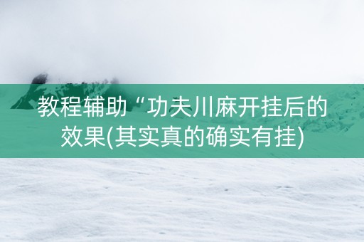 教程辅助“功夫川麻开挂后的效果(其实真的确实有挂)